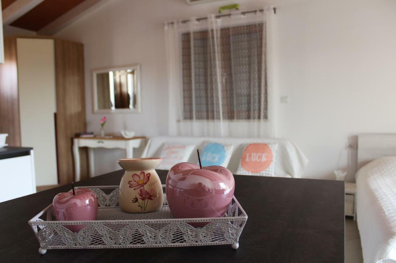 Apartman Sasa ロヴィニ エクステリア 写真
